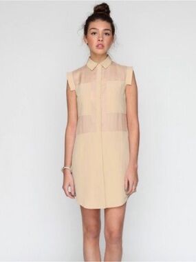 Alexander Wang Silk Shirt Dress